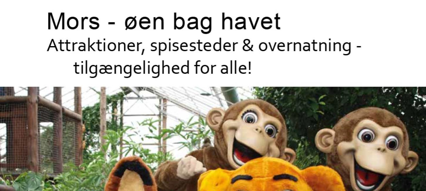 Handicaprådet